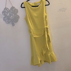 Calvin Klein yummy color 12 dress